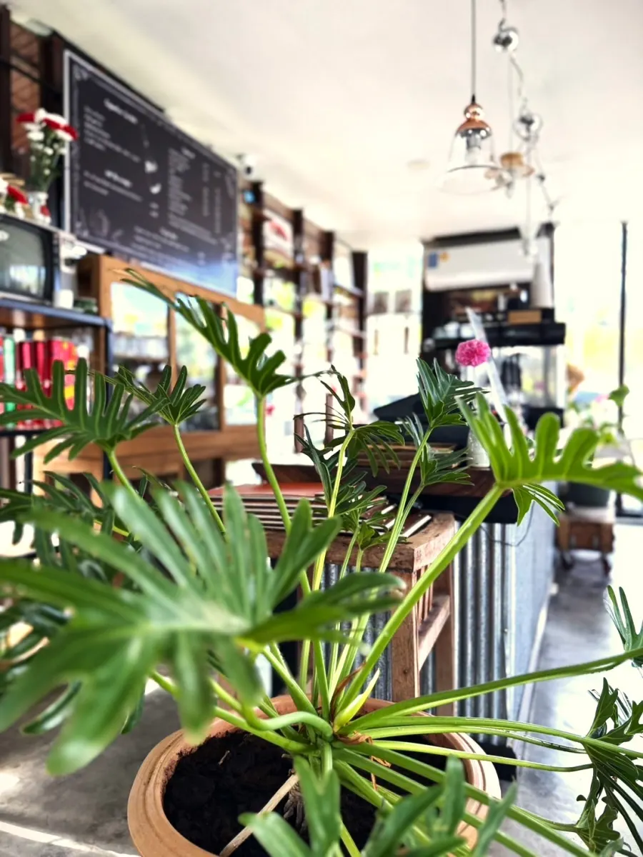 Home Restaurant garden atmosphere